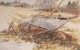 Gallery Item 5